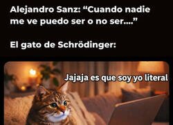 Enlace a El Alejandro Sanz de Schrodinger