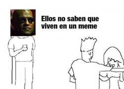 Enlace a No son conscientes