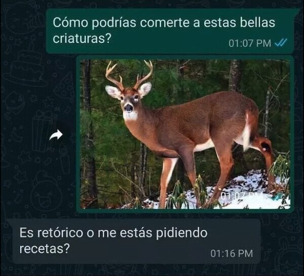 Otros - ¿Me estás juzgando o pidiendo consejo?