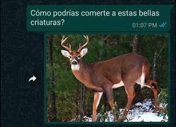 Enlace a ¿Me estás juzgando o pidiendo consejo?