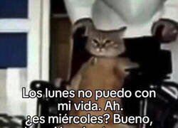 Enlace a Se me hace larga la semana