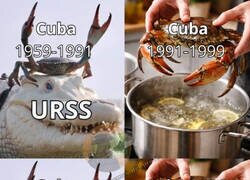 Enlace a Cuba en las últimas décadas