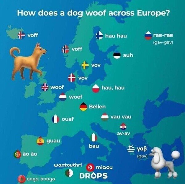 Meme_otros - ¿Cómo ladran los perros en los distintos idiomas de Europa?