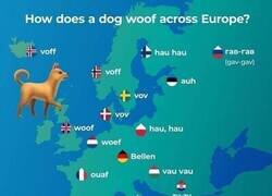 Enlace a ¿Cómo ladran los perros en los distintos idiomas de Europa?