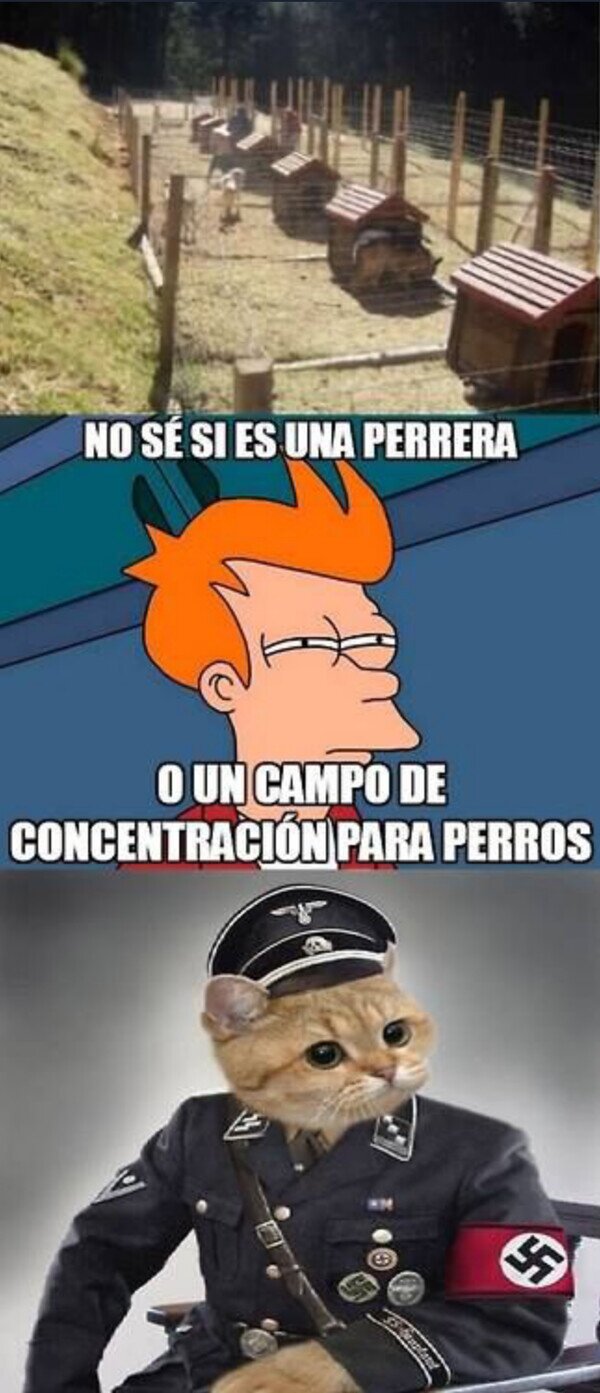 Meme_otros - Una perrera extraña