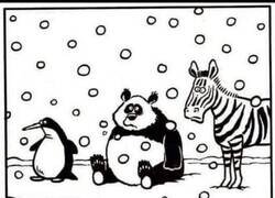 Enlace a Libro de colorear para vagos