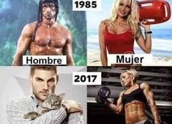Enlace a Evolución