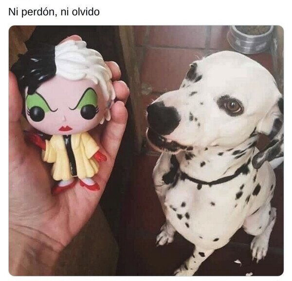 Otros - Un dálmata no olvida