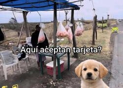 Enlace a Lo dudo mucho