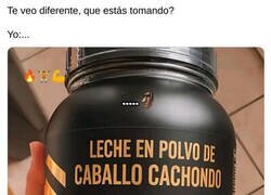 Enlace a Te noto distinto