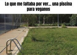Enlace a Piscina para veganos