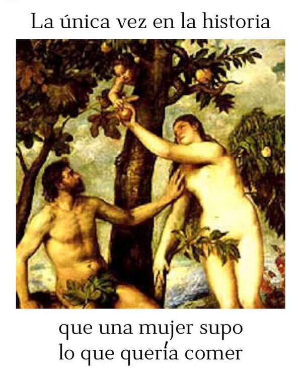 Meme_otros - Y no acabó nada bien...