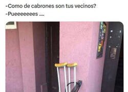 Enlace a Ni lisiado se compadecen