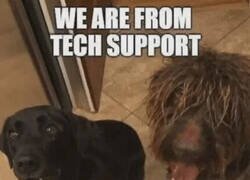 Enlace a Ya están aquí los del soporte técnico