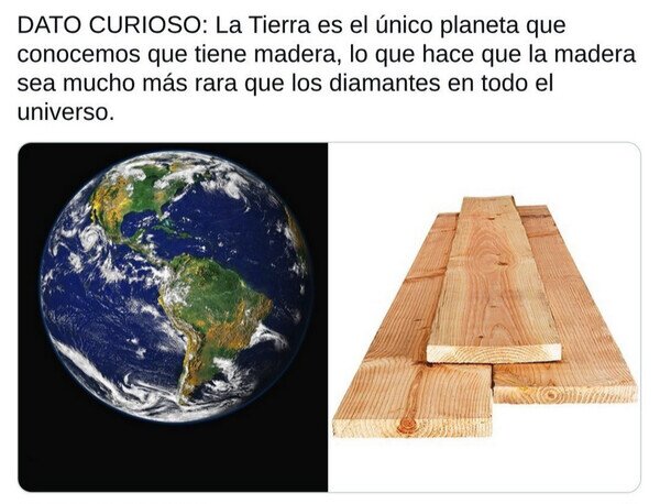 Otros - Toquemos madera