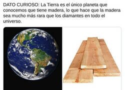 Enlace a Toquemos madera