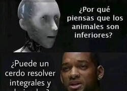 Enlace a Solo somos otra especie animal más