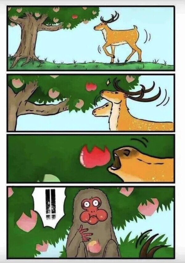 Meme_otros - Fruta prohibida