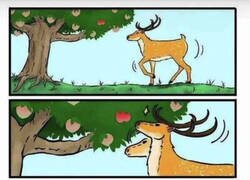 Enlace a Fruta prohibida