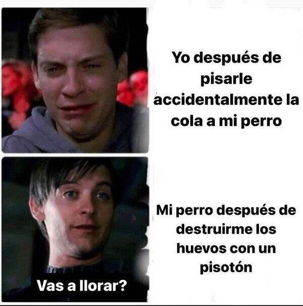 Meme_otros - Él no se compadece de mí