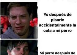 Enlace a Él no se compadece de mí