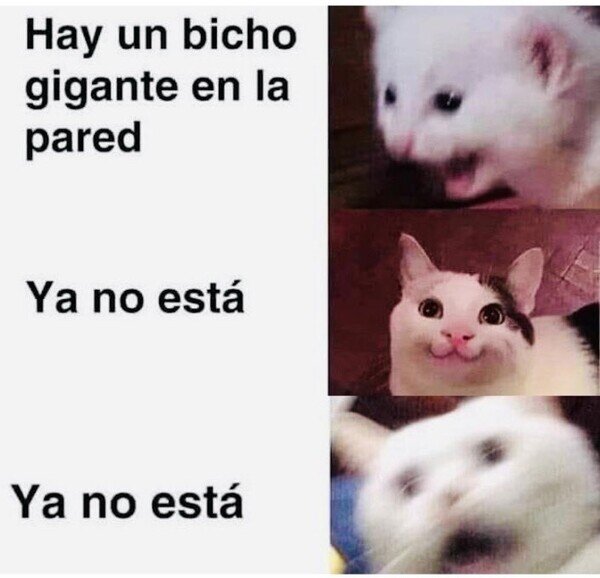 Meme_otros - ¿Dónde ha ido?