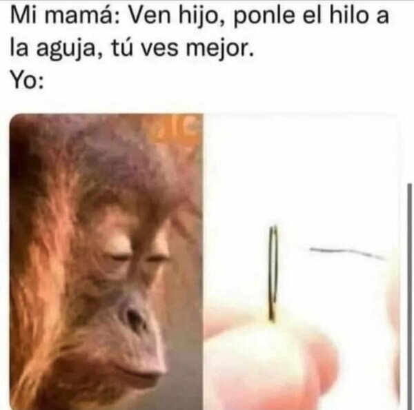 Meme_otros - Enhebrando