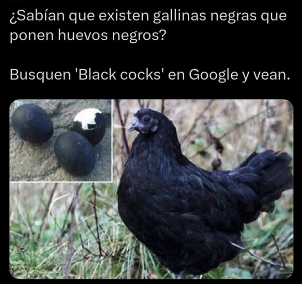 Otros - Comprobadlo vosotros mismos