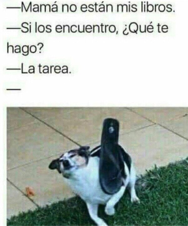 Otros - Si no es mucho pedir...