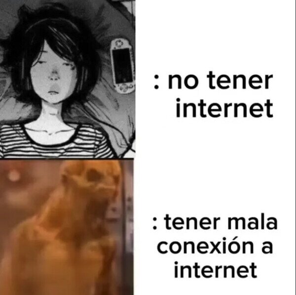 Meme_otros - Prefiero la desconexión total