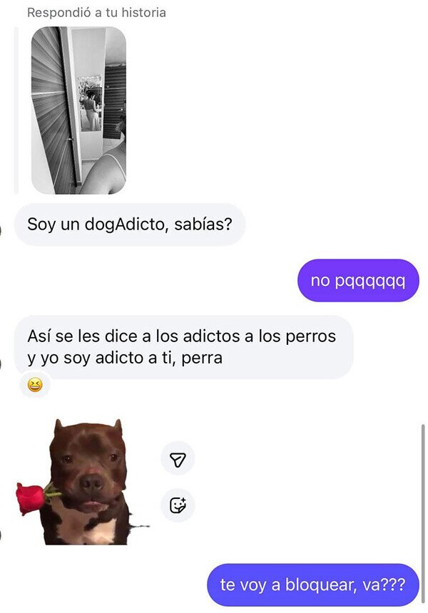 Meme_otros - DogAdicto