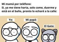 Enlace a ¿Quién será el nominado?