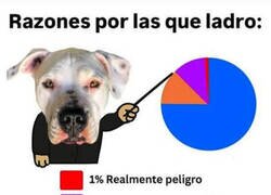 Enlace a Razones por las que tu perro ladra
