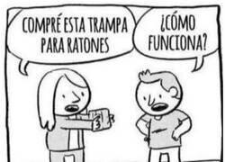 Enlace a Trampa para ratones