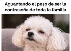 Enlace a No os digo el nombre por privacidad