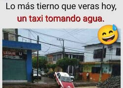 Enlace a Estaba sediento el pobre...