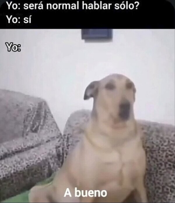 Meme_otros - Una charla gratificante