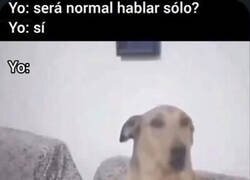 Enlace a Una charla gratificante