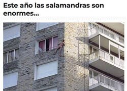 Enlace a A alguien le están siendo infiel