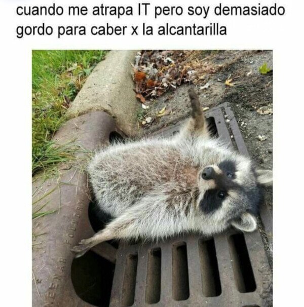 Otros - No le temo al Pennywise