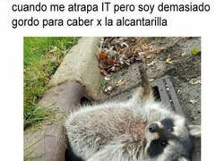 Enlace a No le temo al Pennywise