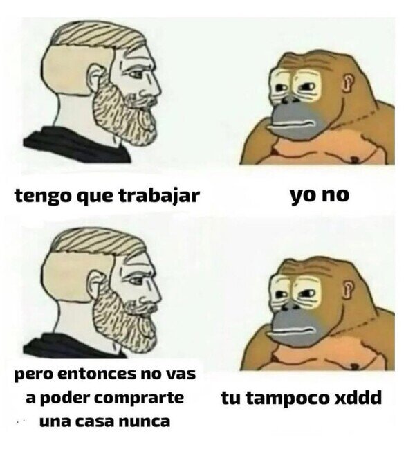 mono,humano,trabajar,comprar,casa