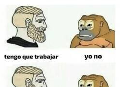 Enlace a El mono nos ganó de nuevo