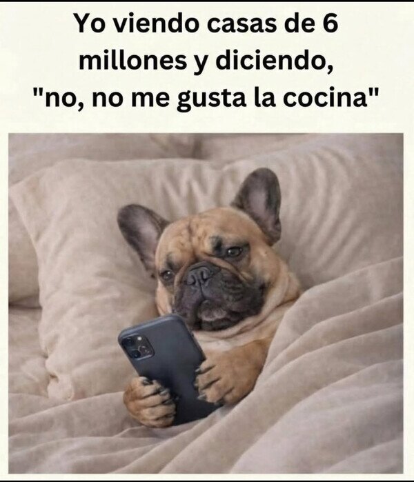 Otros - Me pongo exquisito