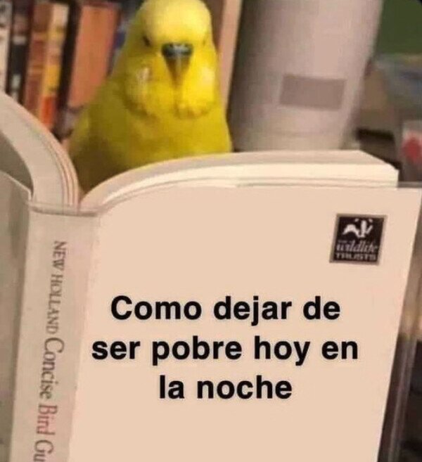 Meme_otros - Me dormí a media lectura