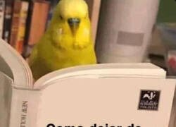 Enlace a Me dormí a media lectura