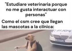 Enlace a Veterinario para evitar la interacción humana