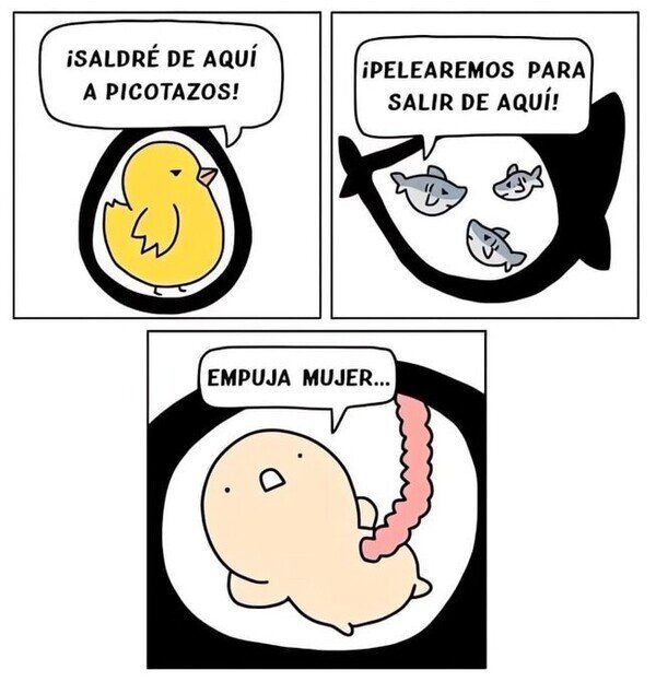 Meme_otros - Somos el animal más vago desde antes de nacer