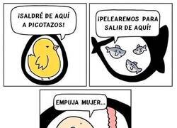 Enlace a Somos el animal más vago desde antes de nacer