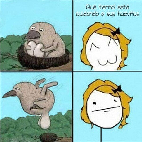 Meme_otros - ¡Qué ternura!